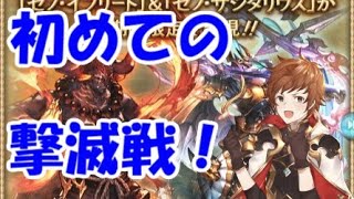 【グラブル】初めてのゼノイフ／ゼノサジ撃滅戦を徹底解説（初心者向け）(2020年1月)