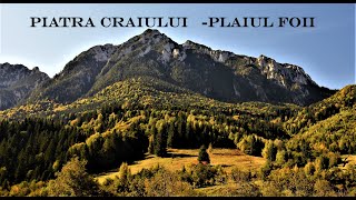 Plaiul Foii  -Piatra Craiului