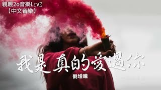 劉增瞳 - 我是真的愛過你【動態歌詞Lyrics】