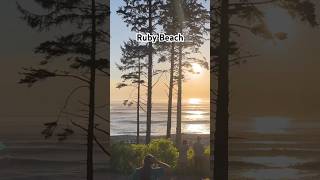 #ruby #beach #washington #olympicnationalpark #nature #viralvideo #sunset #telugu #naturelovers