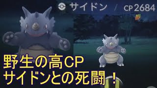 野生の高CPサイドンとの死闘！2017年11月03日 Pokémon GO