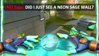 Neon can Sage Wall