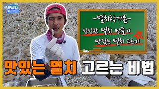 멸치어부가 말하는 좋은 멸치 구별 법! [서튜버]