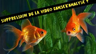 SUPPRESSION DE LA VIDEO MUSHWAY VS JOKERKILLER PAR YOUTUBE ?! (Elle est reupload voir desc)