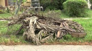 North Miami Code Compliance