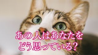 【恋愛系/タロット占い】あの人はあなたをどう思っている？