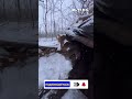 Зимовий настрій. winter mood. shorts