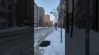 #short　雪が止んで晴れた朝です。春よ来い。早く来い。北海道はまだ寒いです。(^^♪