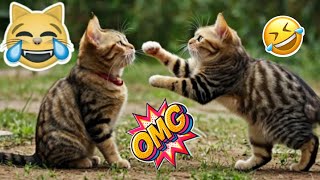 😹Funny Cat Videos 2025❤😂 Funny new Cats 🤣😝-Funny Cats