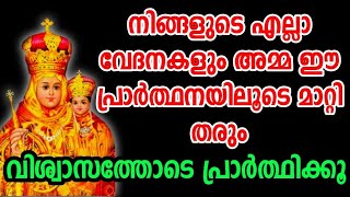 നിങ്ങളുടെ എല്ലാ വേദനകളും അമ്മ ഈ പ്രാർത്ഥനയിലൂടെ മാറ്റി തരും വിശ്വാസത്തോടെ പ്രാർത്ഥിക്കൂ