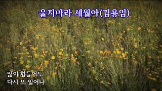 울지마라 세월아(김용임 - 가사자막)