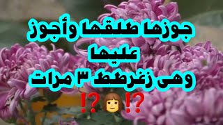 👩جوزها طلقها واجوز عليها وهى زغرطط ٣ مرات ⁉️⁉️⁉️