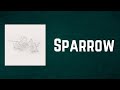 Big Thief - Sparrow (Lyrics)