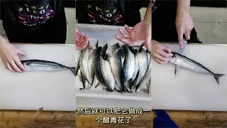 今天教大家怎么分割青花鱼今日はサバの分け方をお教えします