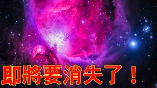 您所不知道的獵戶座大星雲