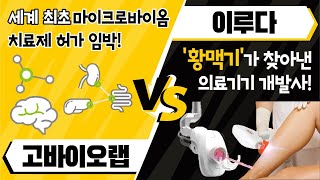 [달콤한 종목] 이루다 vs 고바이오랩 / 달콤한 종목