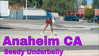Anaheim CA east - homeless problem - seedy underbelly - wrecked homes