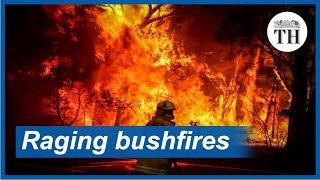 Massive bushfires across Australia