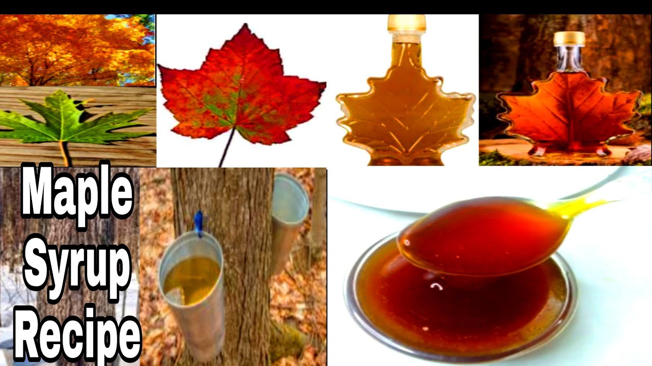 Maple Syrup Recipe In Hindi/ How To Make Maple Syrup With Full ...