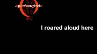 A Perfect Circle - Rose - With lyrics.