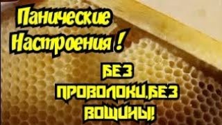 ПАНИЧЕСКИЕ НАСТРОЕНИЯ!БЕЗ ПРОВОЛОКИ,БЕЗ ВОЩИНЫ!!!#пчёлы #пчеловодство #природа