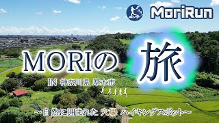 【MORIの旅】神奈川県 厚木市でプチ旅｜自然に囲まれた穴場ハイキングスポットを散策！