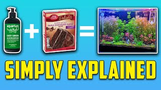 The BEST Way to Explain Aquarium Plants & Fertilizers for Beginners