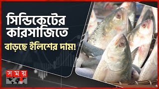 সরবরাহ ব্যাপক, তবু বাড়ছে ইলিশের দাম! | Mawa Ilish Market | Munshiganj | Somoy TV