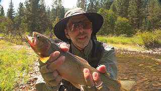 Fly Fishing the Upper West Fork Bitterroot River, Montana