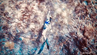 【FiDive's Angels】Freediving Like a Baby Toddler at Ji-Panatosan, Orchid Island