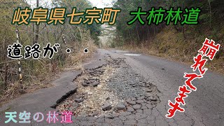 【林道】天を昇るかのような『大柿林道』長い上りにやられました【4K】