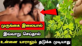 முருங்கை இலையால் இவ்வாறு செய்தால் உன்னை யாராலும் தடுக்க முடியாது | DrumStick Leaves Health Benefits