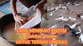 Cara membuat "Enzim /asam amino." untuk ternak unggas.