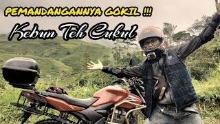 Touring Jakarta - Pantai Santolo via Pengalengan Part 2 | Pemandangannya gokil | Motovlog