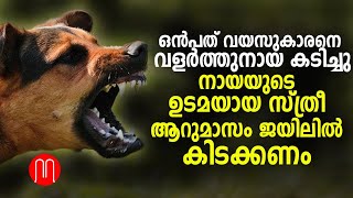 ഒന്‍പത് വയസുകാരനെ വളര്‍ത്തുനായ കടിച്ചു: നായയുടെ ഉടമയായ സ്ത്രീ ആറുമാസം ജയിലിൽ കിടക്കണം| METRO POST