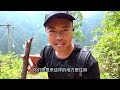 探访贵州深山的独户人家，俩儿子走出大山留下她一人独守空房，八旬奶奶只能以养狗为伴！【乡村阿泰】