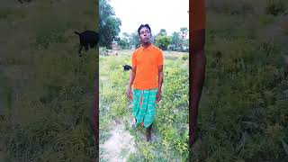 tapin gujuk #new santali#viral you tube short video