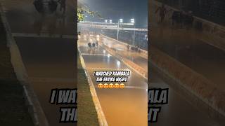 #shorts #travel #kambala #explore #culture #karnataka #yt #race #traditional #buffalo #travelvlog