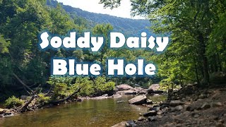 Blue Hole Soddy Daisy: Dive Into A Day Of Adventure!