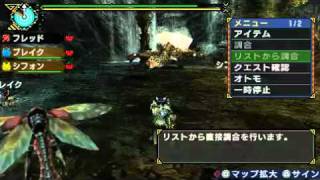 Monster Hunter Portable 3rd Dragon shot Vs. Village Rathian