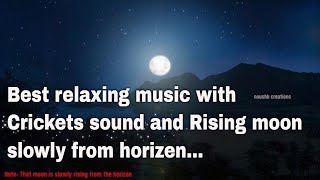 Best relaxing music | Relaxing Piano Music, Sleep Music with crickets sound | deep sleep music