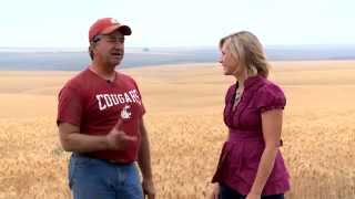 Maier Family Farm | Ritzville | Washington Grown