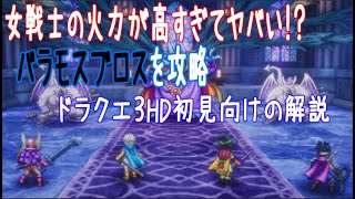 厳選した女戦士の火力が高すぎてヤバい！？バラモスブロスを簡単に攻略する方法を解説！プロによるドラクエ３HD初見向けの攻略解説！【ドラゴンクエストIII】【Dragon Quest3】