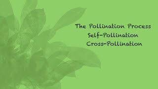 Self-Pollination and Cross-Pollination