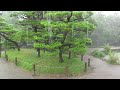 雨中の水前寺成趣園 the suizenji jojuen garden in the rain