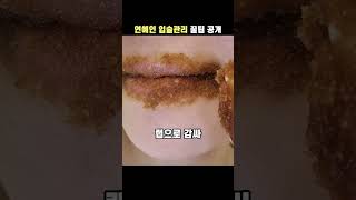 1분만에 알아보는 연예인 입술관리 꿀팁 공개