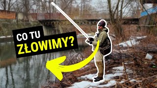 Mieliśmy brania na każdej Miejscówce! 😱 #Urbanfishing Bielsko na Białej 🎣 | Sezon Pstrągowy 2023