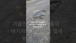 [영국 이게 뭐야] 겨울엔 특히 운전 조심! 왜냐면 이게 너무 많아요.