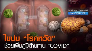 ไขปม “โรคหวัด” ช่วยเพิ่มภูมิต้านทาน “COVID” l TNNข่าวค่ำ l 8 ธ.ค. 63