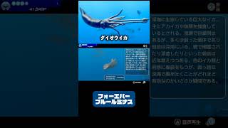 【生物紹介】深海の巨大イカ #フォーエバーブルールミナス